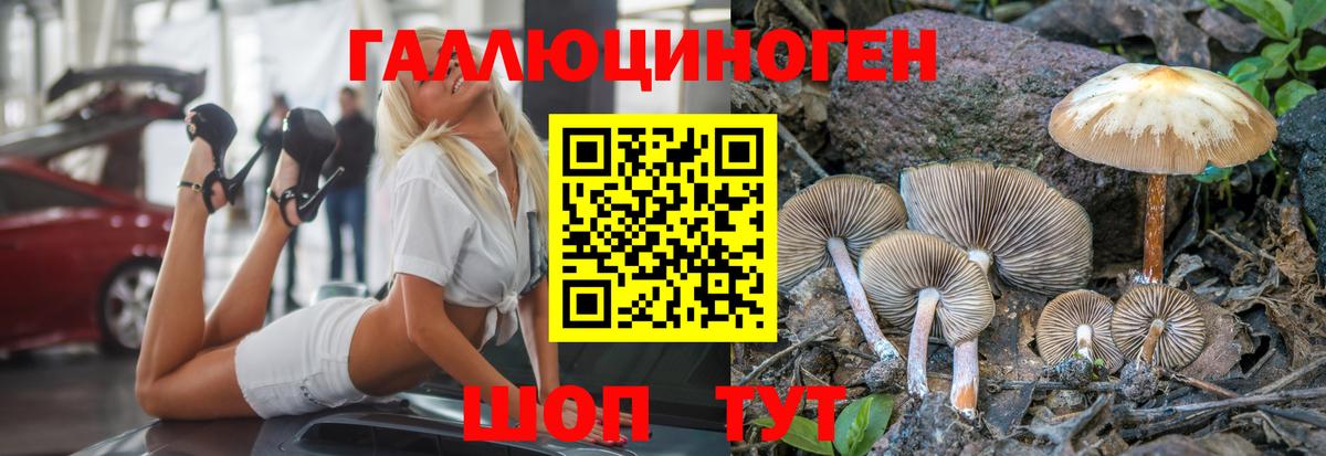Псилоцибиновые грибы Psilocybe  как найти наркотики  Советский  Вход с VPN  Галлюциногенные грибы Magic Shrooms 