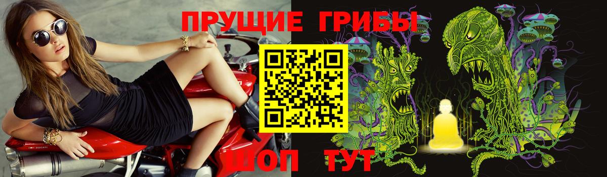 Псилоцибиновые грибы ЛСД Советский